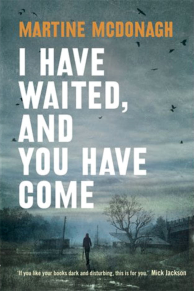 I Have Waited, And You Have Come by Martine McDonagh